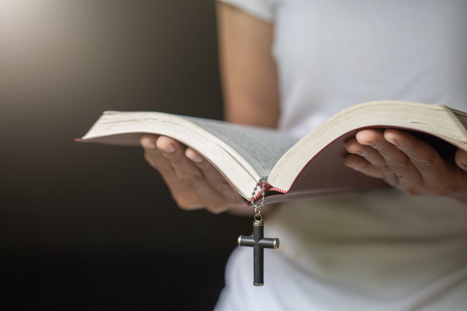 biblical purpose